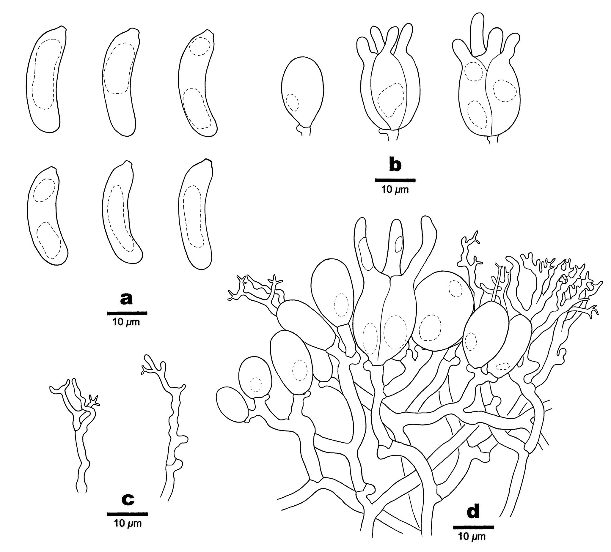 Figure 27